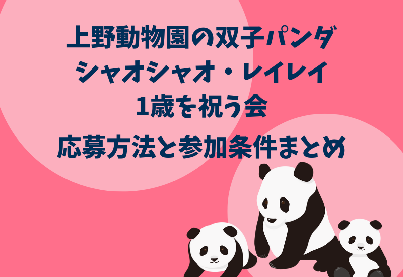 上野動物園 双子パンダを祝う会の応募方法 参加条件や日程を調査 マルコノコト