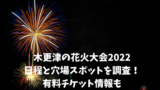 中止 山武サマーカーニバル22の日程と穴場スポット 混雑予想におすすめ駐車場を調査 マルコノコト