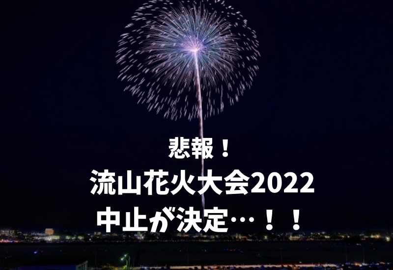 流山花火大会22の中止が決定 悲しすぎる マルコノコト