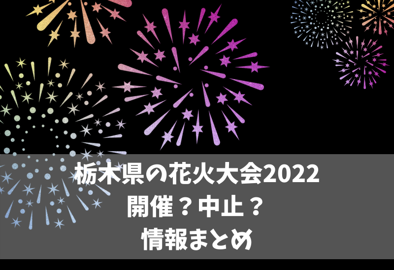 栃木県の花火大会22中止情報まとめ 実施予定のもの マルコノコト