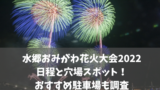 千葉県の花火大会22 中止情報まとめ 実施予定のもの マルコノコト